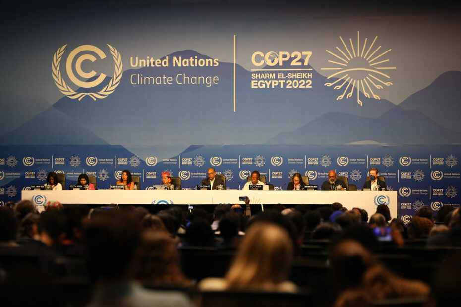 Plenaria della Cop27